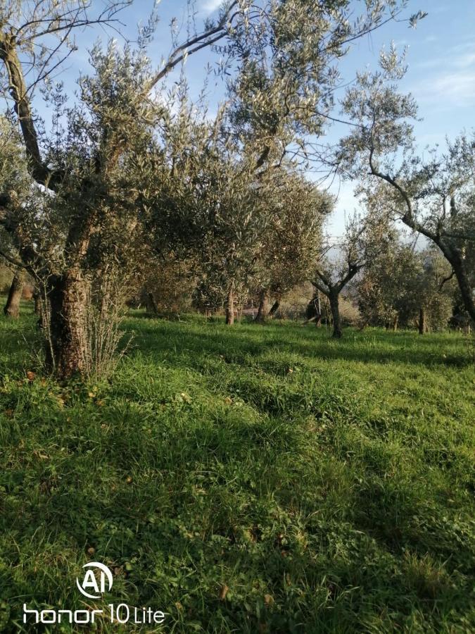 Appartamento Serenella Maenza Екстер'єр фото